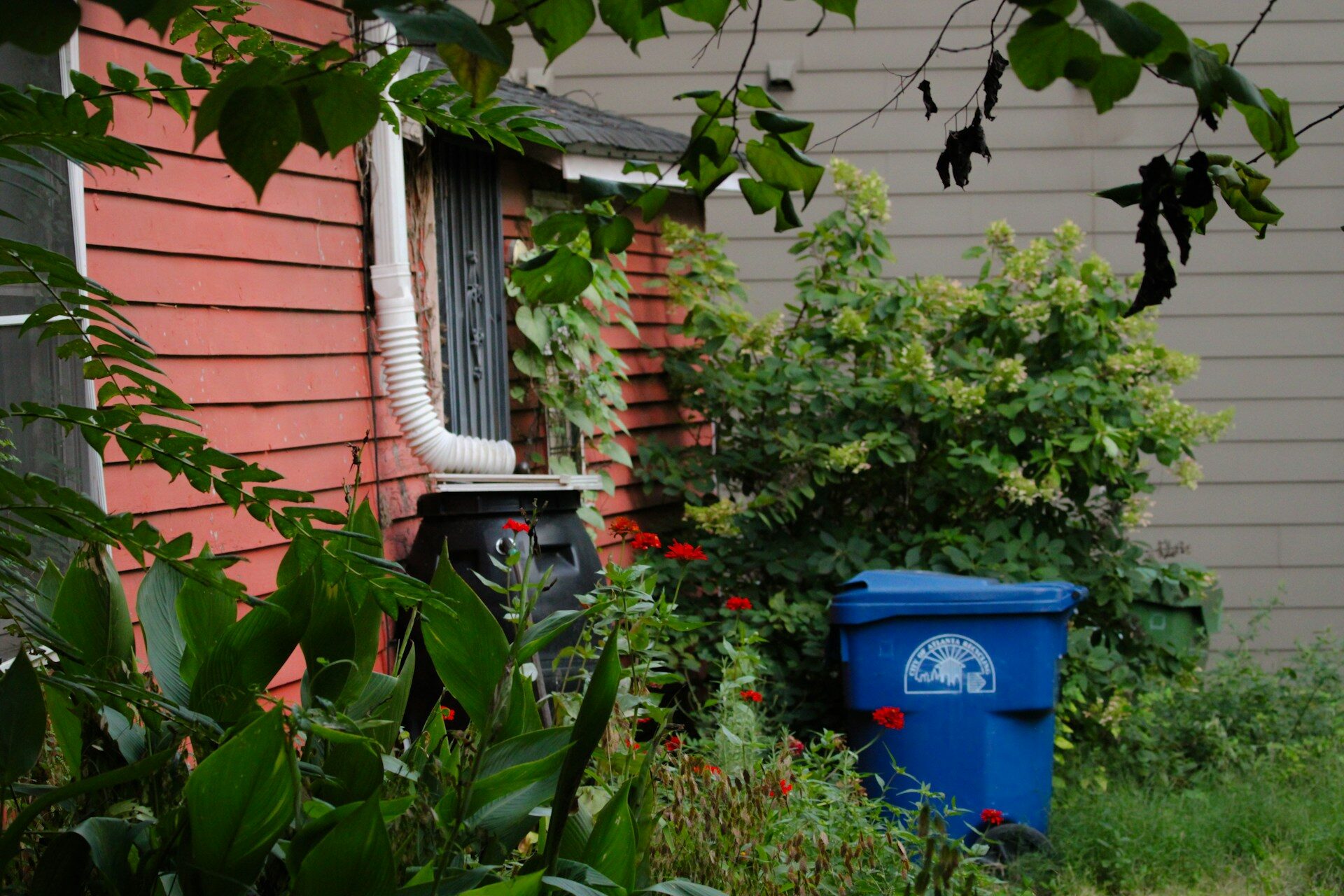 5 Sustainable Hacks for Your Yard Debris